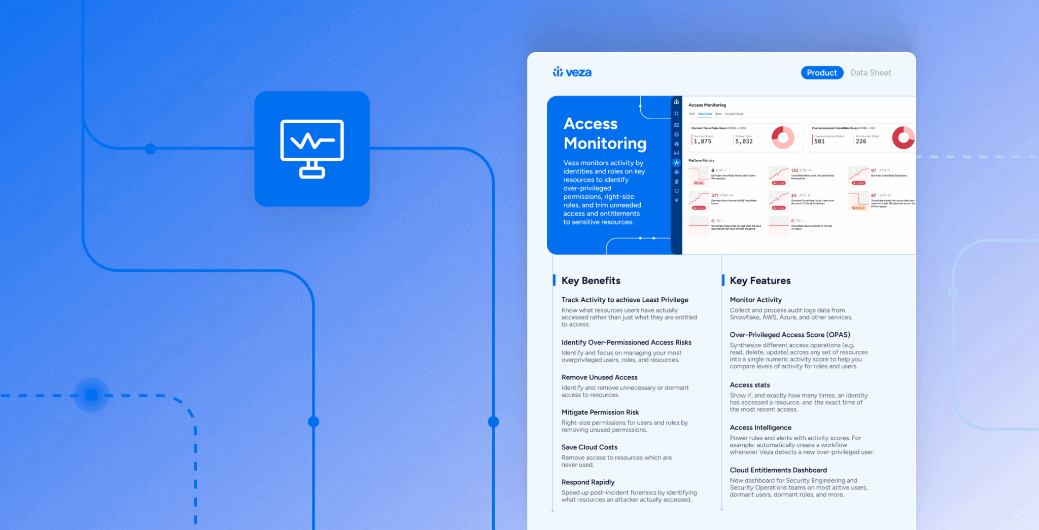 Access Monitoring Data Sheet - Veza