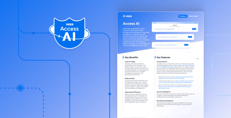 Access AI - Data Sheet - Veza
