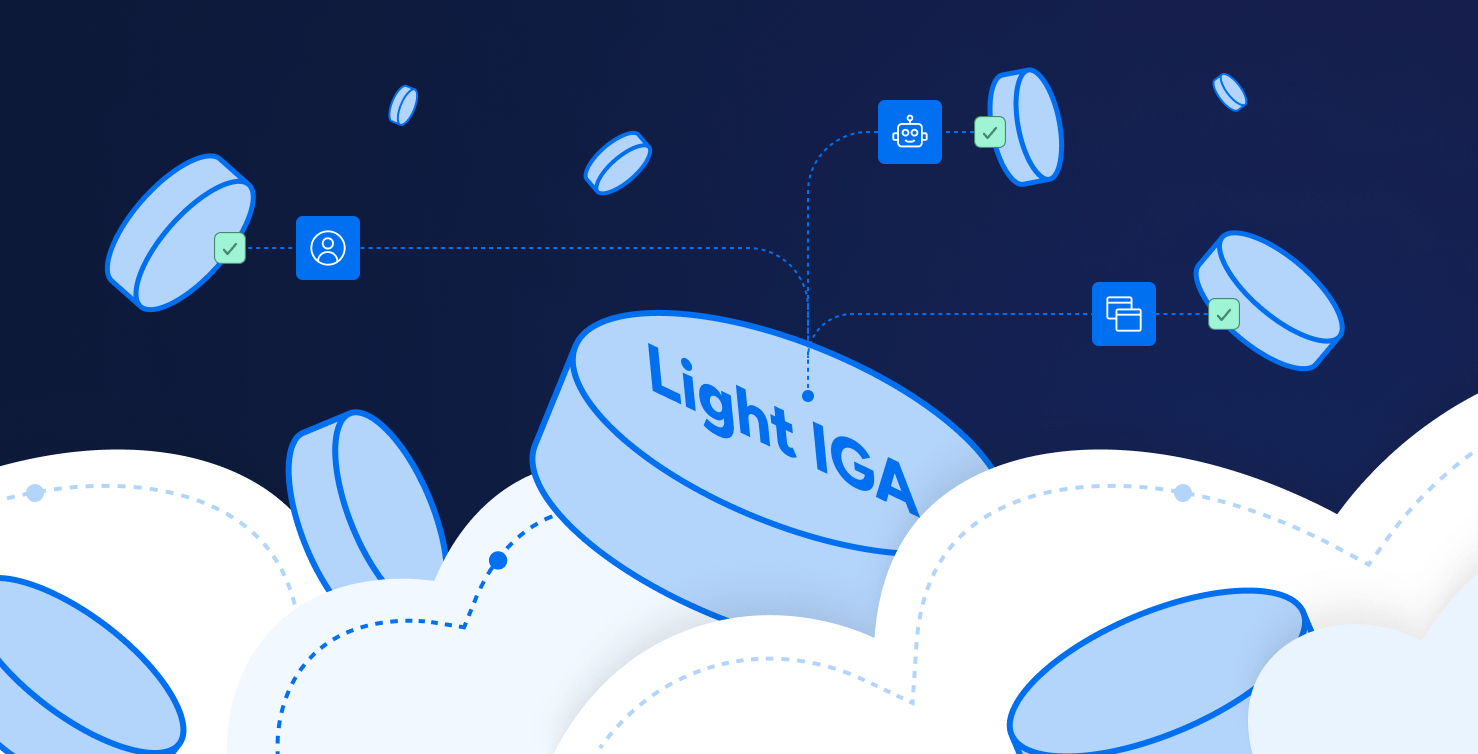 Central “Light IGA” control connected to a few identity and app nodes with check marks, showing limited governance coverage.