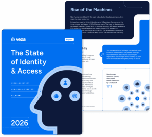 Veza - The Identity Security Platform